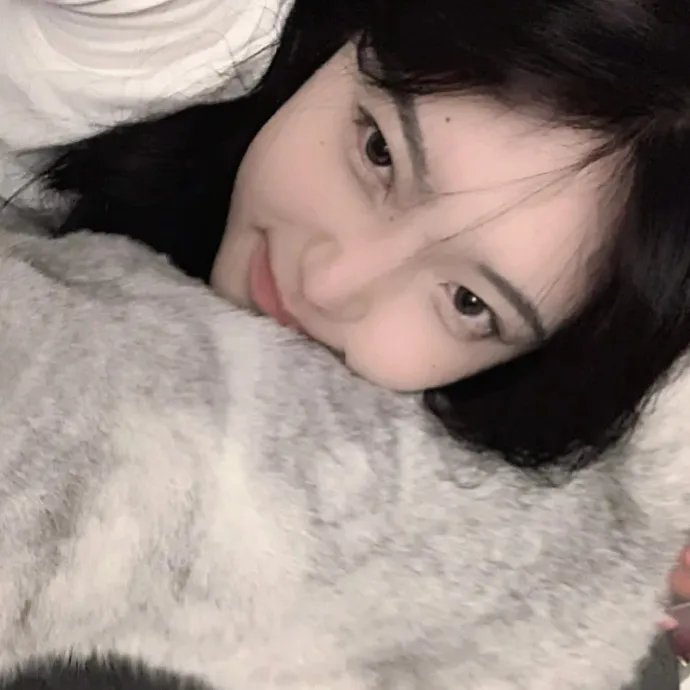 大内密探灵灵狗