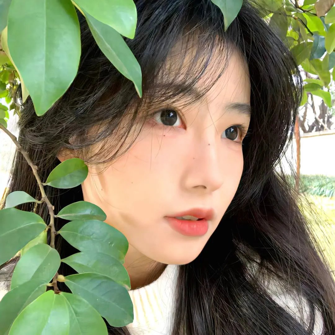 迷失的大洲